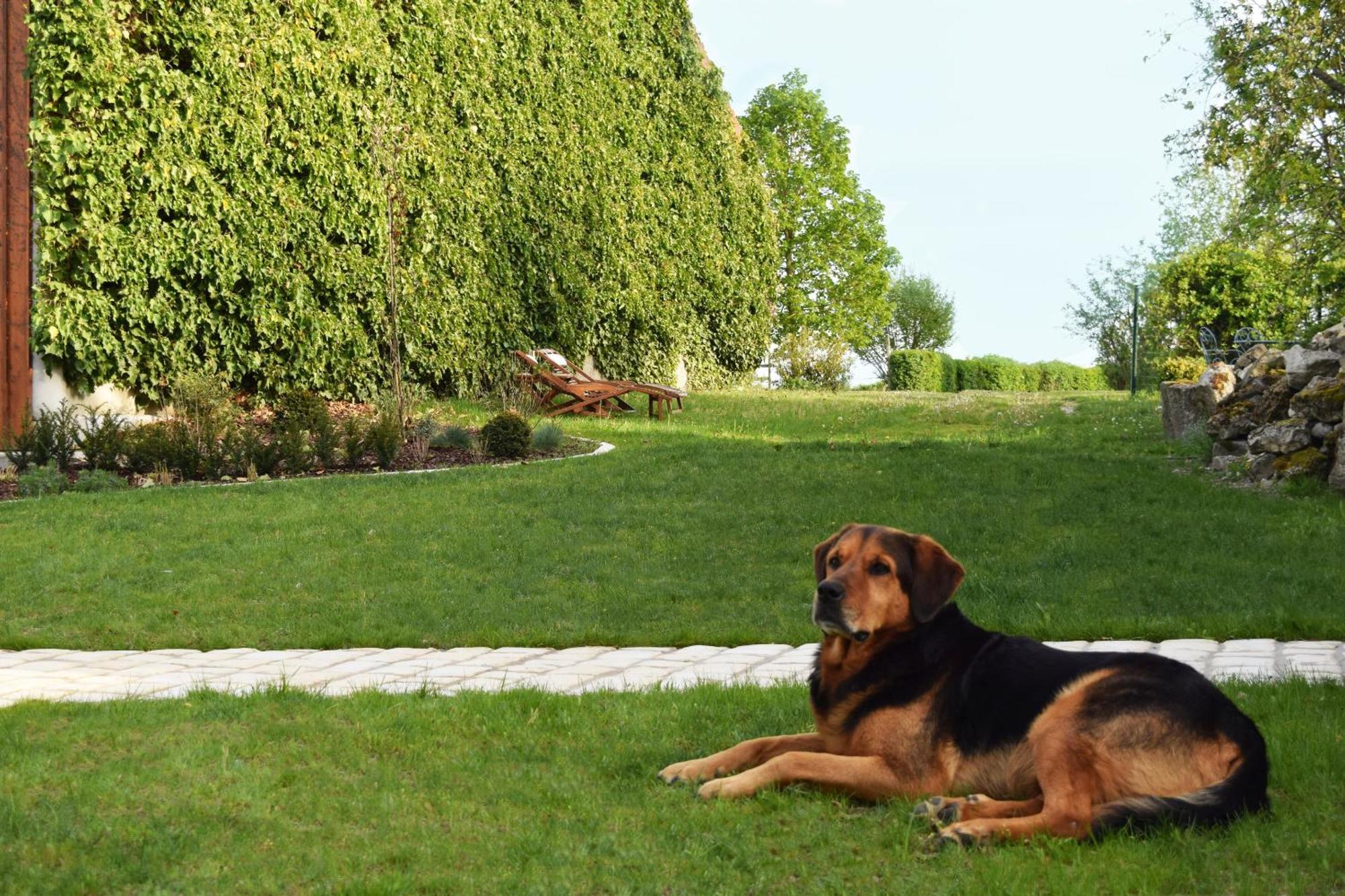 Au Pre Du Moulin Bed & Breakfast Clamanges Exterior photo